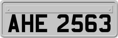 AHE2563