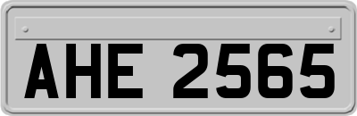 AHE2565