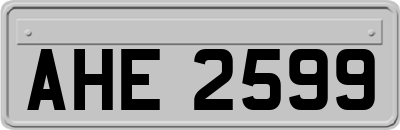 AHE2599