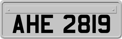 AHE2819
