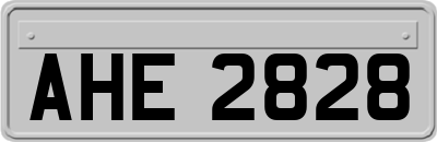 AHE2828