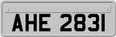 AHE2831