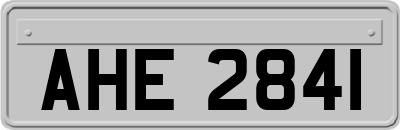 AHE2841