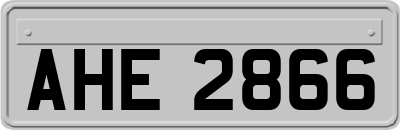 AHE2866