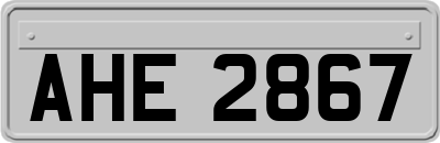 AHE2867