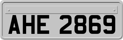 AHE2869