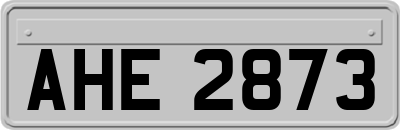 AHE2873