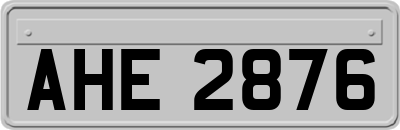 AHE2876