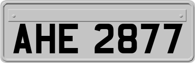 AHE2877