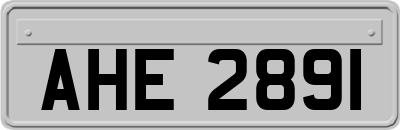 AHE2891