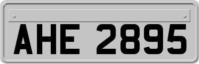 AHE2895
