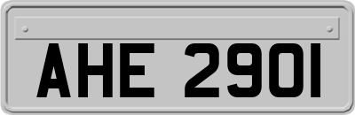 AHE2901