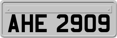 AHE2909