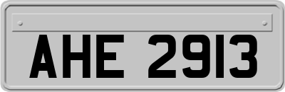 AHE2913