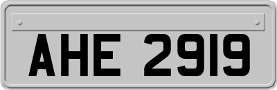 AHE2919