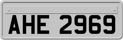 AHE2969