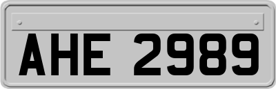 AHE2989