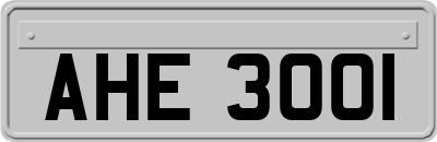 AHE3001