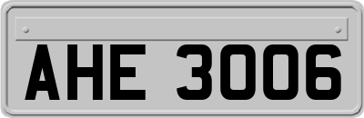 AHE3006