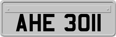 AHE3011
