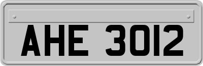 AHE3012
