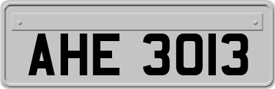 AHE3013