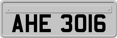 AHE3016