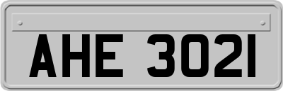 AHE3021