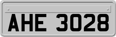 AHE3028