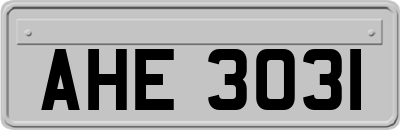 AHE3031