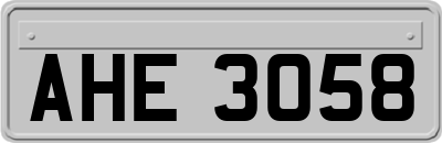 AHE3058