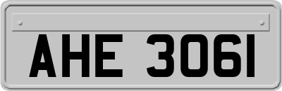 AHE3061