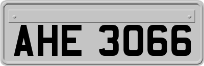 AHE3066