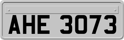 AHE3073