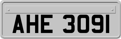 AHE3091
