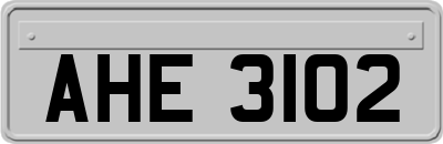 AHE3102