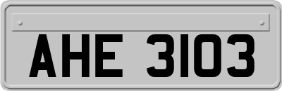 AHE3103