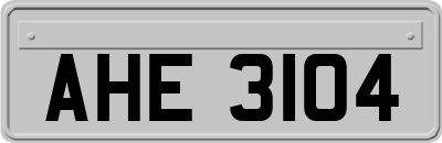 AHE3104