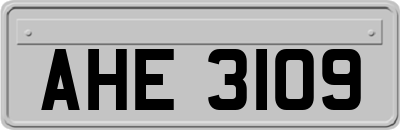 AHE3109