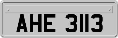 AHE3113