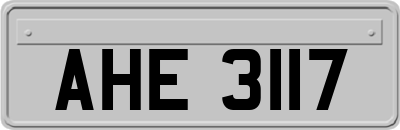 AHE3117