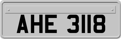 AHE3118