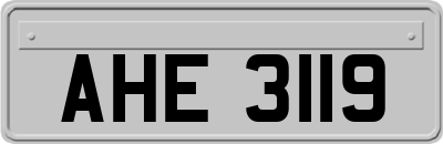 AHE3119