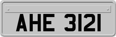 AHE3121