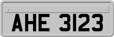 AHE3123