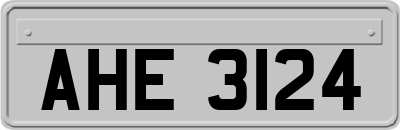 AHE3124