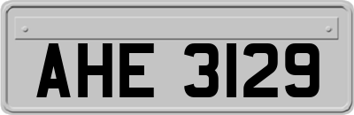 AHE3129
