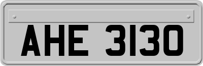 AHE3130
