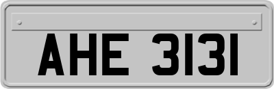 AHE3131