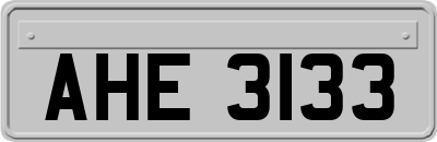 AHE3133